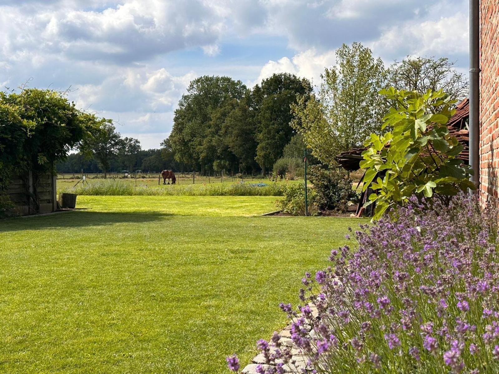 B&B Droomzoet Herentals Exterior photo